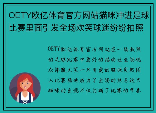 OETY欧亿体育官方网站猫咪冲进足球比赛里面引发全场欢笑球迷纷纷拍照留念